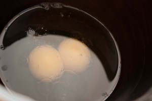 Egg yolks, oil, and water before mixing