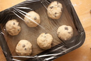 Yorkshire teacake dough rounds in a tin covered in plastic wrap, ready for proofing.